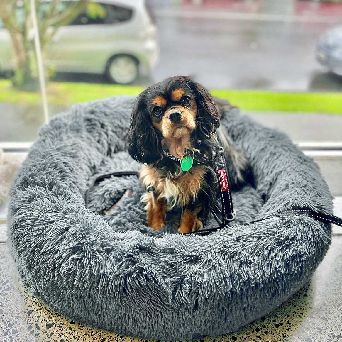 SnuggleNest™ – Vet-Approved Calming Bed for Dogs