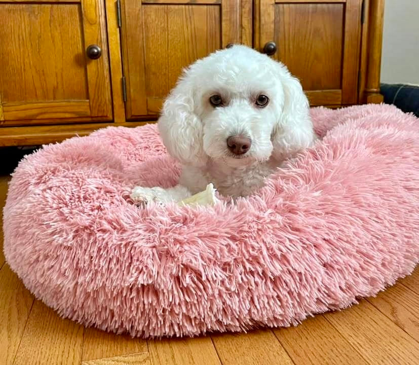 SnuggleNest™ – Vet-Approved Calming Bed for Dogs