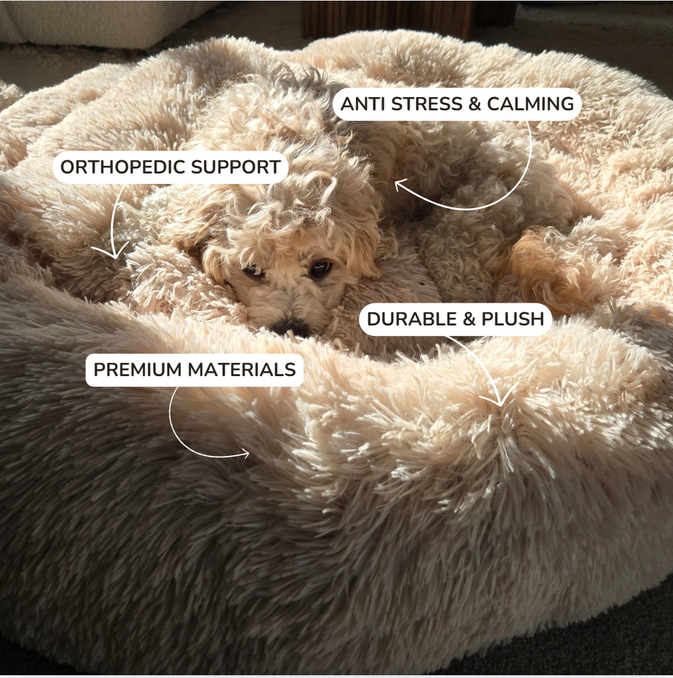 SnuggleNest™ – Vet-Approved Calming Bed for Dogs