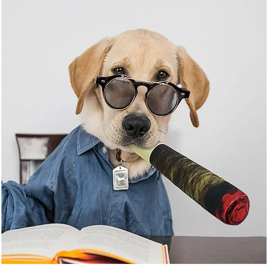 DogJoint™ Interactive Paw Toy for Hip & Joint Relief