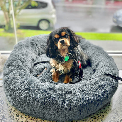 SnuggleNest™ – Vet-Approved Calming Bed for Dogs