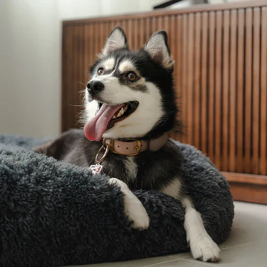 SnuggleNest™ – Machine Washable Calming Dog Bed