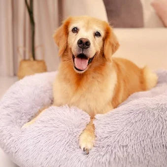 Calming Dog Bed for Anxiety Relief